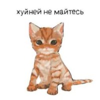 hashishshh
