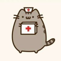 user88271246