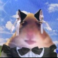 lightfox32