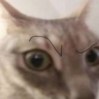 tinki-vinki00