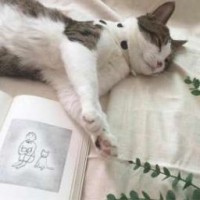 libraki
