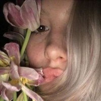 qwekiss