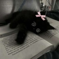 nika-ymi