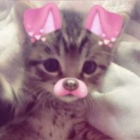 viiinast0