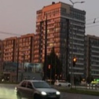 yana79859
