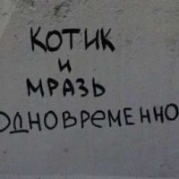 gyli637373883