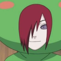 user77460789