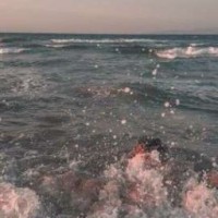 user94614222