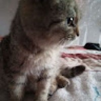 user40551737