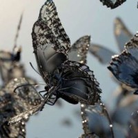 heartlessdevil1259