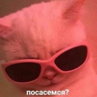 afmmm
