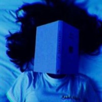 blue-fox