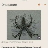 rasskaz8