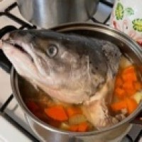 bapebo