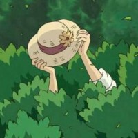 miyaa-sensei