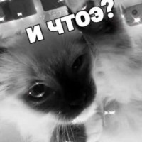 user87570996