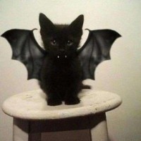 vamp-mien