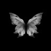 misskim-v