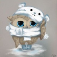 nico-chi