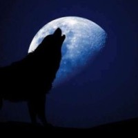 shadow24222
