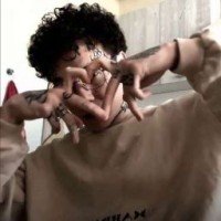 crimsoonfoox