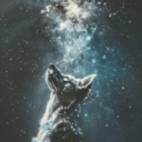 wolfs-lair
