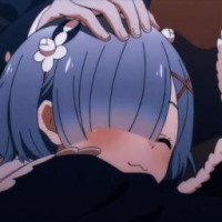 fat1-rem