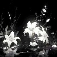 kotenok-228