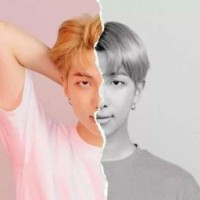 bias19941209