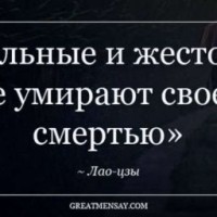witcher031445