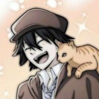 user78244547