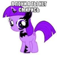 user14915088