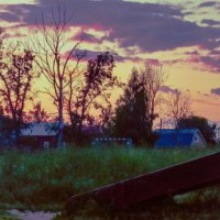 matvey818