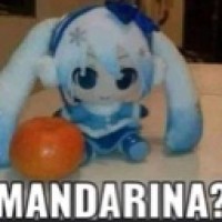 user53948534