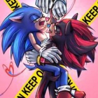sonicshed
