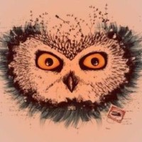 owl0804