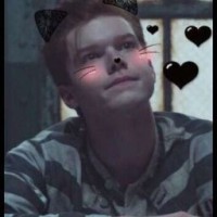 rikymeyson