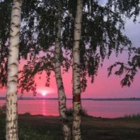 andrewdusk