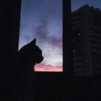 arsenitieva99