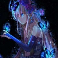 user20301388