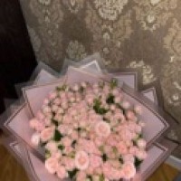 mesaliya
