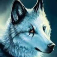 user08930223