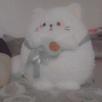 llldac