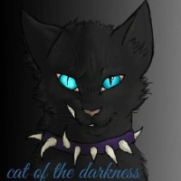 catofthedark