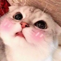 lala-tinder