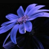 user79351