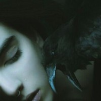 anna-corvus