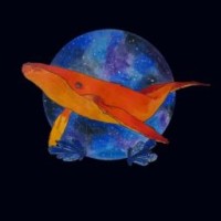 kate-firewhale