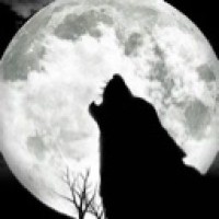 darly-wolfen