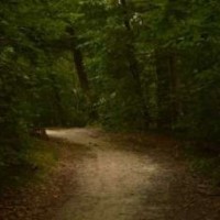 icantfindthewayout